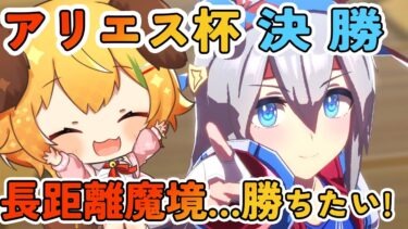 【ウマ娘/女性実況】アリエス杯　決勝　長距離魔境に挑戦…！タマモクロス/オグリキャップ/ミスターシービー【わんこわんわん/STAR SPECTRE】