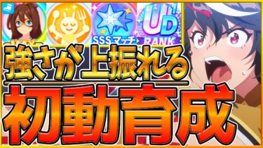 【育成解説】強さが変わる”ラークシナリオ”全てを詰め込んだ初動育成！上振れを伸ばすための解説‼トレーニング優先度,SSマッチ,スターゲージ,海外遠征/初心者～上級者まで/UD【ウマ娘/2.5周年記念】