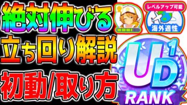 【ウマ娘】絶対伸びる『ラーク立ち回り法！』初動/メイ/絆/海外適性取り方！全てを詰め込んだラークシナリオ育成法解説！【ウマ娘プリティーダービー 長距離 マエストロ SSR引換券ラモーヌ水マルジャンポケ