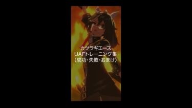 【ウマ娘】カツラギエース　UAFトレーニング集（成功・失敗）