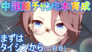 【ウマ娘】200日目 　チャンミ用タイシン本育成二日目‼雰囲気育成から脱出したい