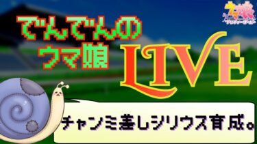 【ウマ娘】久しぶりにウマ娘！チャンミ育成！【実況】