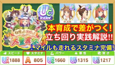 【大豊食祭攻略】本育成は絶対にここで差がつく！新シナリオ序盤～終盤までを実戦形式で徹底解説‼【ウマ娘/理事長抜きサポカ編成】