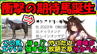 『ドゥラメンテ産駒からとんでもない馬が誕生しSNSで大反響を呼ぶ！』に対するみんなの反応集 ウマ娘 まとめ 速報 競馬 【ウマ娘プリティーダービー】【かえで】