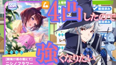 【ウマ娘】はじめてのサポカ4凸！ニシノフラワー使って新育成シナリオ挑戦！！