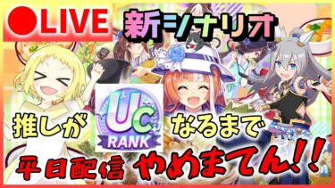 【ウマ娘/生放送】UCチャレンジ！推しがUCになるまで平日配信やめまてん！新シナリオ！新サポカ揃ったし、本格育成…の前に！早く慣れるために挑戦心大事！神タマで初UCとるでー！！