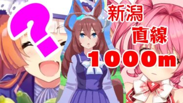 【ウマ娘】リーグオブヒーローLOH育成。ライトオはまだ様子見。