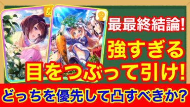 【最終結論】凸すべきは圧倒的に〇〇です！「SSRパワーニシノフラワー」「SSR友人秋川理事長」の性能を徹底比較！！【ウマ娘/大豊食祭】