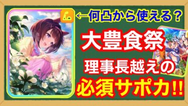 【性能解説】練習性能・スキル・イベントすべてにおいて最強すぎる「SSRパワーニシノフラワー」徹底考察！！【ウマ娘/新シナリオ/大豊食祭】