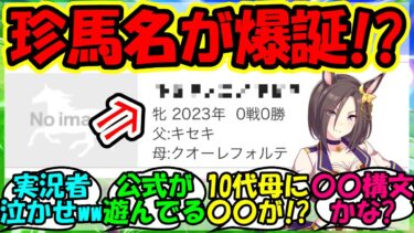 『エアグルーヴのひ孫にまさかの珍馬名の馬が誕生しSNSで大反響を呼ぶ！』に対するみんなの反応集 まとめ 速報 競馬 【ウマ娘プリティーダービー】【かえで】