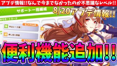 【アプデ情報】めちゃくちゃ因子厳選が楽になる?!痒い所に手が届く育成面のアプデが満載!!むしろなんでなかったの!! #ウマ娘