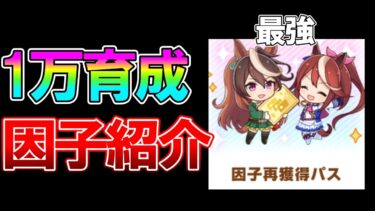 【ウマ娘】10000育成超えの因子Box紹介！3.5周年で追加された「因子再獲得パス」がヤバすぎる件について