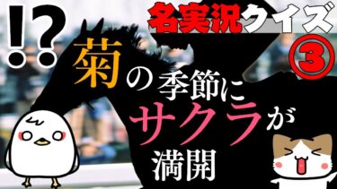 【名実況クイズ】第3回！どの馬のどのレースか当てられるか！？クイズ！【競馬】