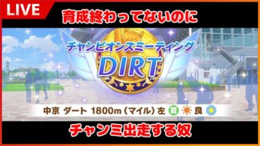 【ウマ娘】育成→出走(ラウンド1DAY1)【チャンミDIRT】