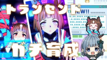 【ウマ娘】ガチトランセンド育成！更新できるかな？【朝配信】