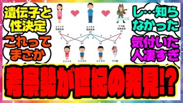 『ウマ娘世界の性決定とウマ娘遺伝子の設定をガチ考察』に対するみんなの反応集 まとめ ウマ娘プリティーダービー レイミン