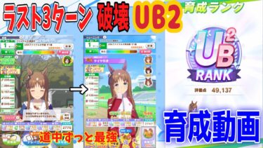 【査定育成】限りなくUB4ランクに近いUB2育成動画見て！新シナリオ前に高査定を取ろう！【ウマ娘】