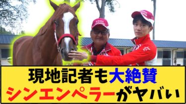 【競馬】「シンエンペラー凱旋門賞は大チャンス、フランスメディアの評価がスゴい」