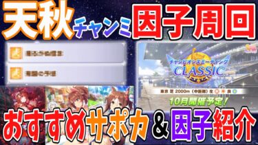 【因子周回】サポカから取りにくい因子などを大紹介！天秋チャンミにおススメのサポカと因子まとめました。【ウマ娘】