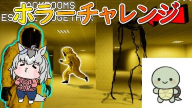 【ホラーゲーム実況】協力型脱出ホラーをわちゃわちゃしながら【Backrooms: Escape Together】