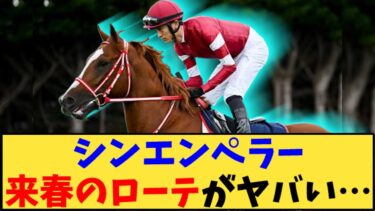 【競馬】「シンエンペラー来春のローテがヤバい…」に対する反応【反応集】