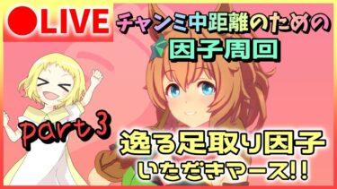 【ウマ娘/生配信】チャンミ中距離のための因子周回！ジェンティルドンナ様に捧げる【逸る足取り】因子を求める女の戦い。先行向け因子極めマース！