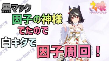 【ウマ娘】黒マックの因子の神様でたので白キタで因子周回！