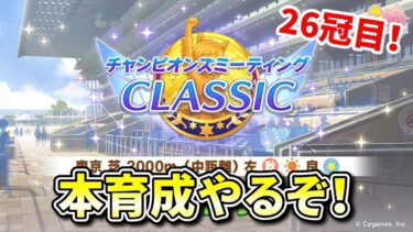 【ウマ娘/豊食祭】そろそろやばい！！夏フラッシュの更新育成やっていく！【概要欄チェックお願いします！】