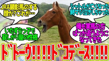 ウマ娘最近初めたけど、むしろ実馬が可愛くて動画ばかり見てる…に対するみんなの反応！【競馬 の反応集】