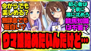 初心者「ウマ娘始めようと思ってるんだけど今からでも楽しめる？」『ウマ娘初心者に最初に教えてあげたいこと』に対するみんなの反応集 まとめ ウマ娘プリティーダービー レイミン