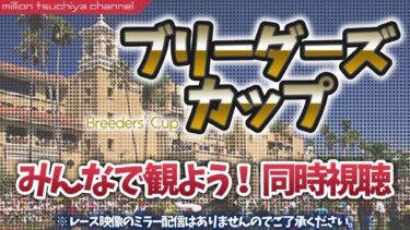 【競馬】「ブリーダーズカップ」みんなで見よう！同時視聴 ライブ配信#ex12