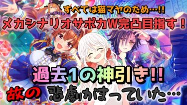 【ウマ娘】【ガチャ動画】過去1の神引き！妹が猫マヤノトップガンのため！SSRダイワスカーレットとSSRエアシャカールの完凸目指す！メカウマ娘！新シナリオサポカガチャ！神引き故に、最後悲劇が…！？