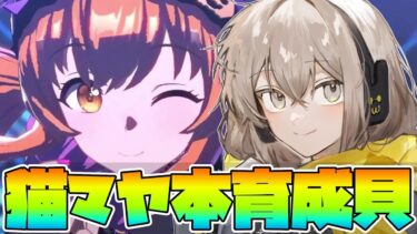 【ウマ娘】苦手な逃げ環境きちゃあ!!中距離リーグオブヒーローズの本育成仕上げます【ウサガイチャンネル】