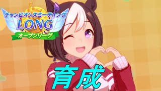 【ウマ娘】チャンミオープン育成。深夜から始まるウマ娘物語【LIVE】